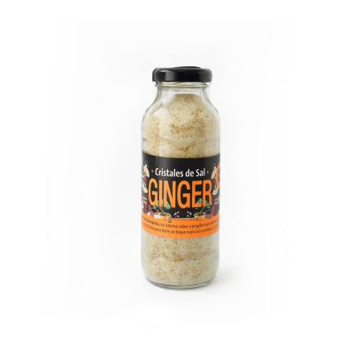 Ricco Gourmet Sal Ginger - 290gr