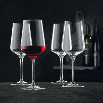Nachtmann-4877 ViNova Red Wine Glass Set 4P