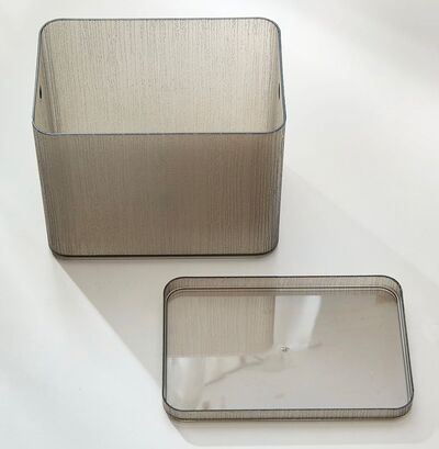 Caja de Almacenamiento Acrílico con Tapa Gris L