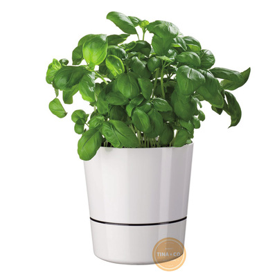 Mepal Hydro Herb Pot Large Blanco