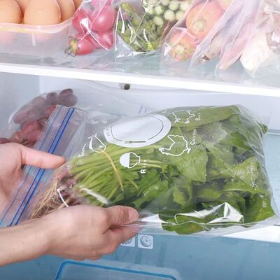 Bolsas de Cierre Hermetico grande (10 Unidades)