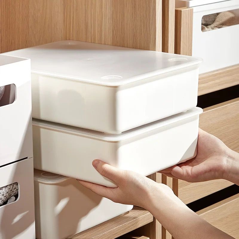 Caja Organizadora con 10 Divisiones