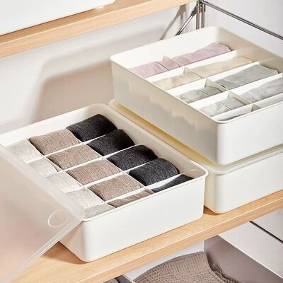 Caja Organizadora con 10 Divisiones