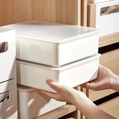 Caja Organizadora con 10 Divisiones